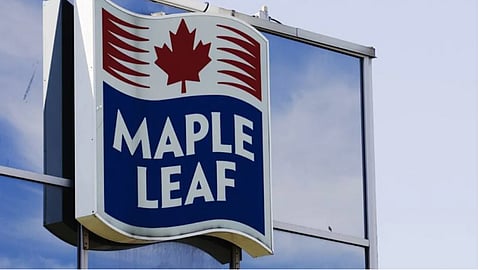 Maple Leaf may dismiss unvaxxed employees