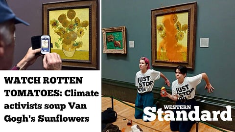 WATCH ROTTEN TOMATOES: Climate activists soup Van Gogh's Sunflowers