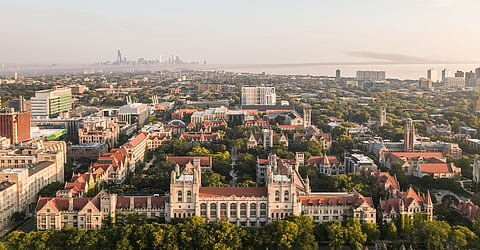 Anti-white course offered at the University of Chicago