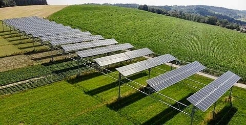 UofA study suggests solar panels and spinach could reduce land use conflicts