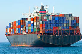 Government’s Montreal port emergency was ‘false flag’
