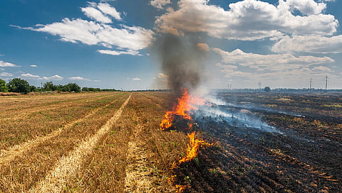 Man charged in Alberta with intentionally causing damage by fire