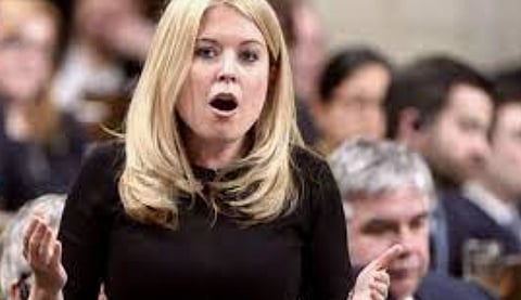 MP Rempel Garner says US ambassador is mistaken on Canadian energy's potential solutions