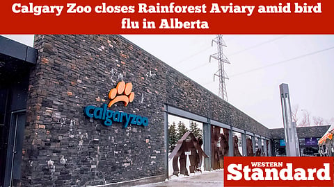 Calgary Zoo closes Rainforest Aviary amid bird flu in Alberta