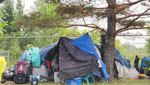 GREEN: Downtown Edmonton has turned into a cesspit