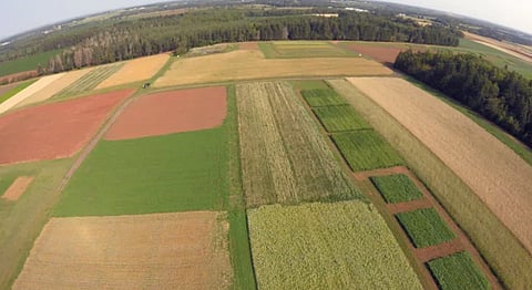 Sky-high fertilizer prices ramp up pressure on Canadian farmers
