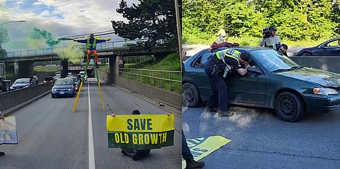 More arrested, one hospitalized amid continuous old-growth logging protests