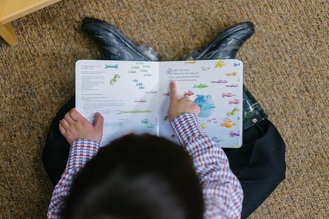 BC government parenting book teaches 'exploration' of gender identity for toddlers