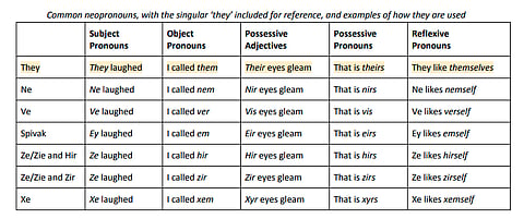 THOMAS: Only two sexes? Time to start learning about neopronouns