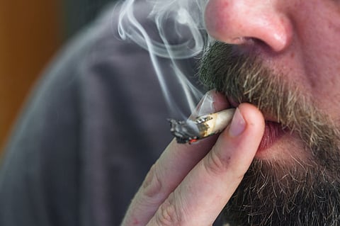 Marijuana taxes brought in 1/4 billion dollars in revenue