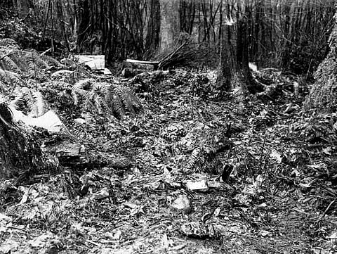 Vancouver’s ‘Babes in the Woods’ cold case may finally see answers