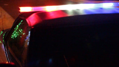 RUFF RIDE: Drunk driver tried to switch places with his dog