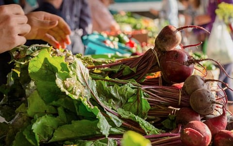 Boyce Farmers Market 