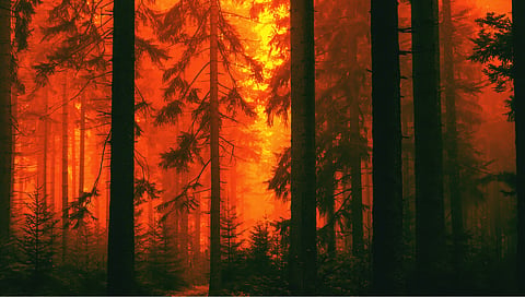 Thousands of Albertans and personnel fighting wildfires