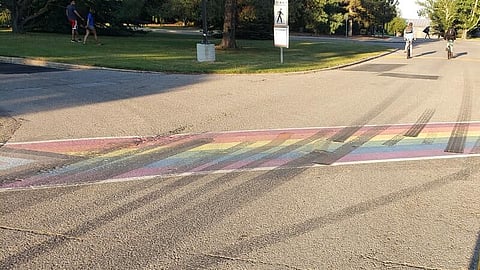 RCMP seeking driver who vandalized Olds College Pride crosswalk