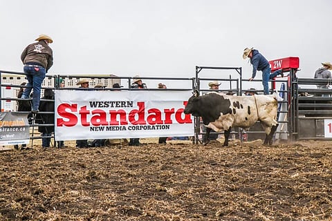 Bowden holds another rodeo – this one free of RCMP scrutiny