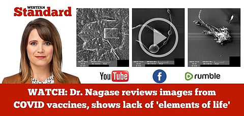 WATCH: Dr. Nagase reviews images from COVID vaccines, shows lack of ‘elements of life’