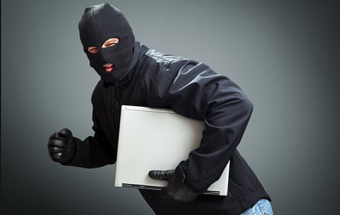 Thefts cost taxpayers huge coin