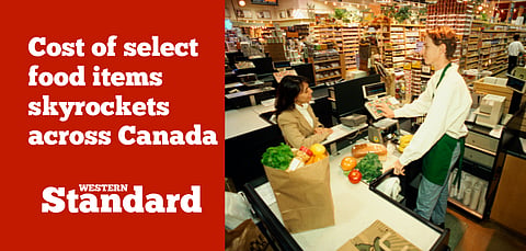 Conservatives say a quarter of Canadians are not eating enough because they cannot afford to buy food