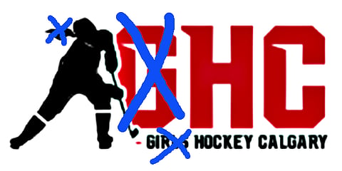 EXCLUSIVE: Calgary girls’ hockey group sending gender pronouns to the penalty box