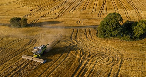 44% of Canadians fear climate change will impact food security
