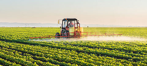 35% of farmers are short workers