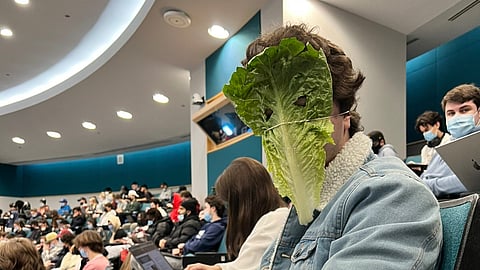 LETTUCE BREATHE: Ontario university student wears vegetable over face to protest masks