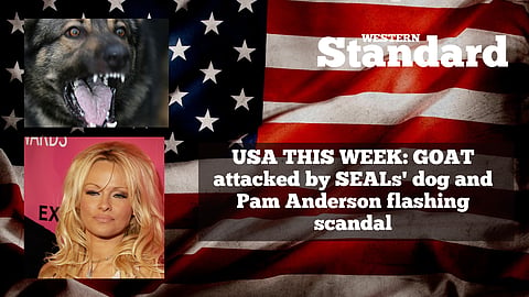 USA THIS WEEK: GOAT attacked by SEALs' dog and Pam Anderson flashing scandal