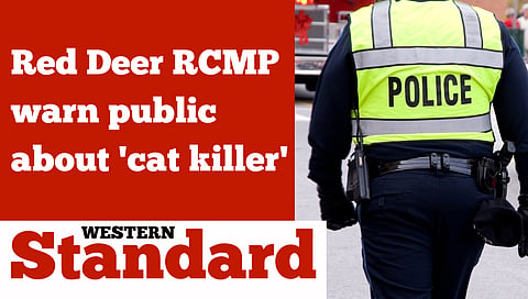 Red Deer RCMP warn public about 'cat killer'