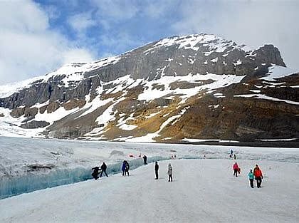 Tour bus operator faces charges two years after Jasper Icefield bus crash killed three