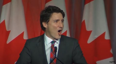 WATCH: Liberals say Canada is not damaged