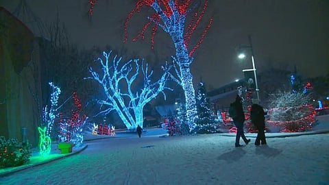 Calgary Zoo cancels Zoolights because of extreme cold
