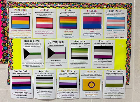 Brampton school posts sexual minority flags in hallway, defines them