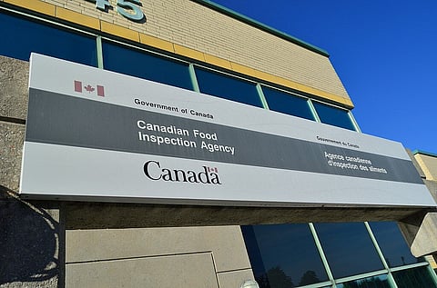 Dog dies from avian flu, first case of its kind in Canada