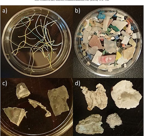 Study finds plastics found in masks present in patients’ lungs