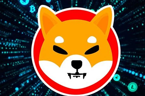 Wendy's to allow SHIBA crypto as payment in Georgia