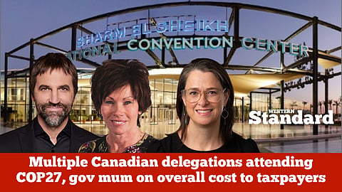 Multiple Canadian delegations attending COP27, gov mum on overall cost to taxpayers