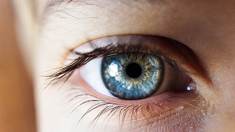 I'M NOT DEAD YET! Scientists bring eyes of the deceased back to life