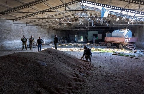 Canada condemns Black Sea grain deal as markets shrug