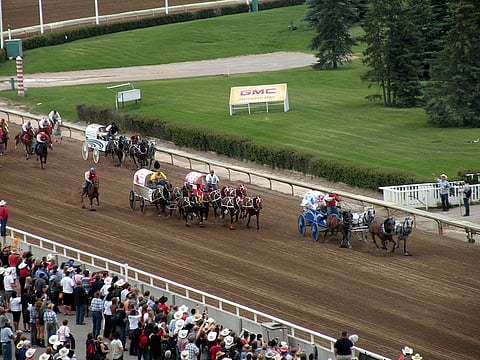 Calgary Stampede Canvas Auction draws $2.75 million in donations
