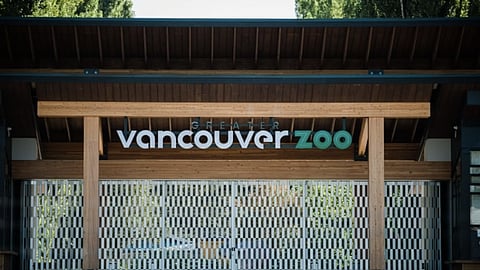 Escaped wolf found dead, another still missing from Vancouver zoo