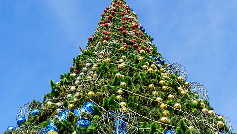 WS Poll: Do you think Edmonton's giant Christmas tree should come back?