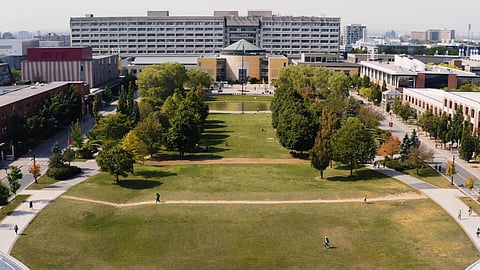 York University 