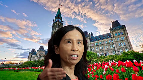 SOLBODIAN: Tam needs to answer questions about Fauci lies
