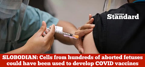 SLOBODIAN: Cells from hundreds of aborted fetuses could have been used to develop COVID vaccines