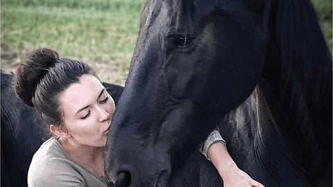 Red Deer woman furious after seized horse put down
