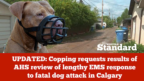 UPDATED: Copping requests results of AHS review of lengthy EMS response to fatal dog attack in Calgary