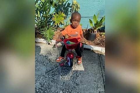 Missing two-year-old Florida boy found dead in alligator's mouth