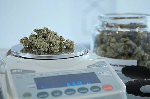 Sask First Nations can run pot stores and enforce bylaws