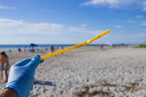 THE LAST STRAW: No more plastic straws and other single-use plastics